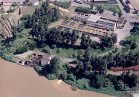 1969